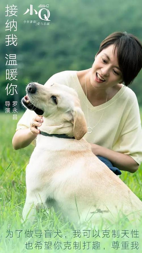 拉里奥哈国际大学商科文凭证书